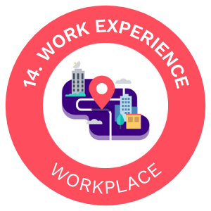 New platform content: ‘Work Experience’ learning module